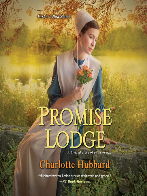 Cover image for Promise Lodge
